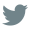 Social Icon